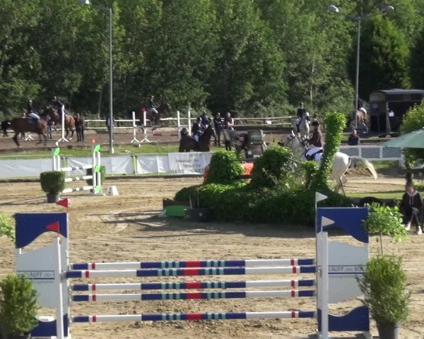 Reitturnier Frechen-Grefrath - Sonnenhof 2019