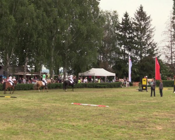 Reitturnier Wustrow 2019