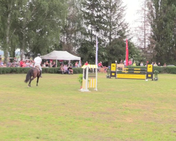 Reitturnier Wustrow 2019