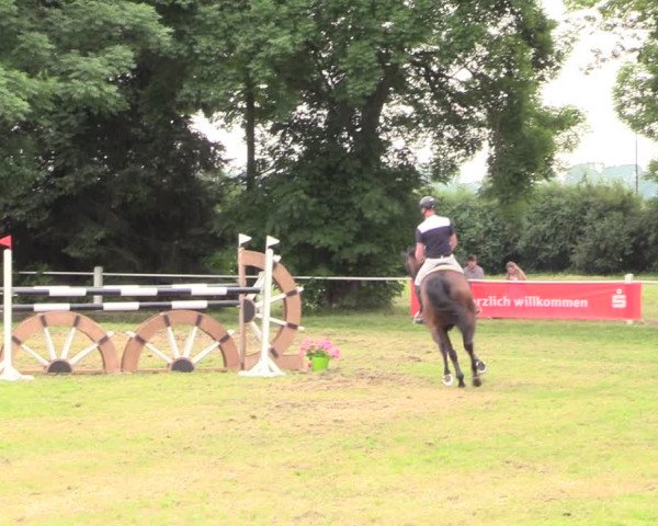 Reitturnier Wustrow 2019
