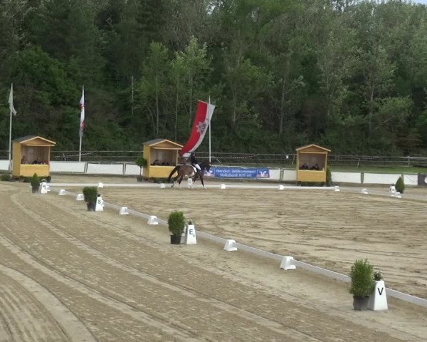 Reitturnier Frechen-Grefrath - Sonnenhof 2019