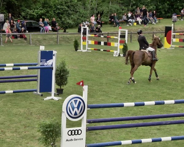 Reitturnier Jettingen 2019