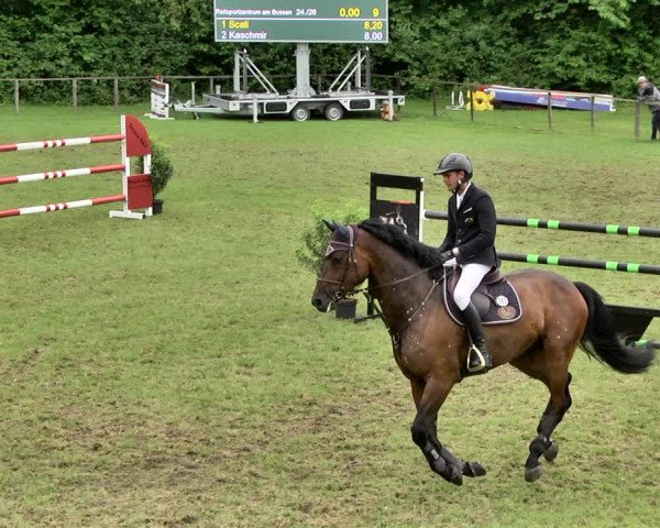 Reitturnier Jettingen 2019