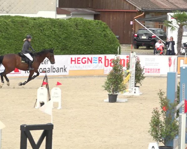 Reitturnier Galgenen 2019