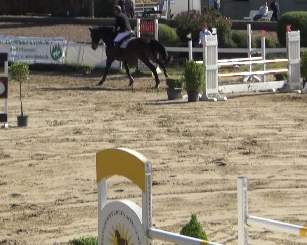 Reitturnier Frechen-Grefrath - Sonnenhof 2019