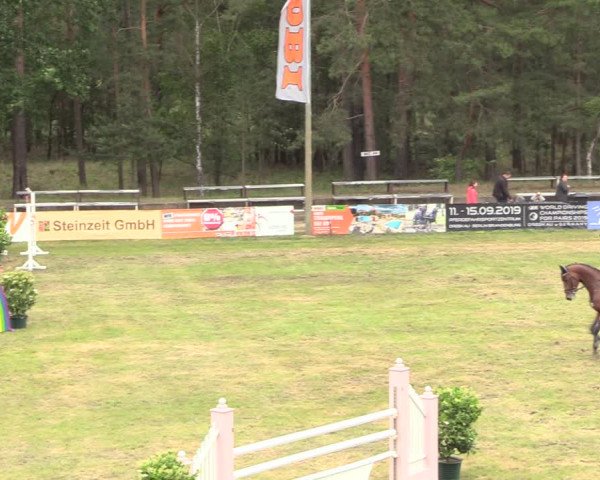 Reitturnier Cottbus-Sielow 2019