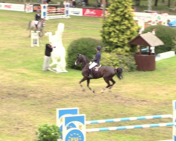 Reitturnier Cottbus-Sielow 2019