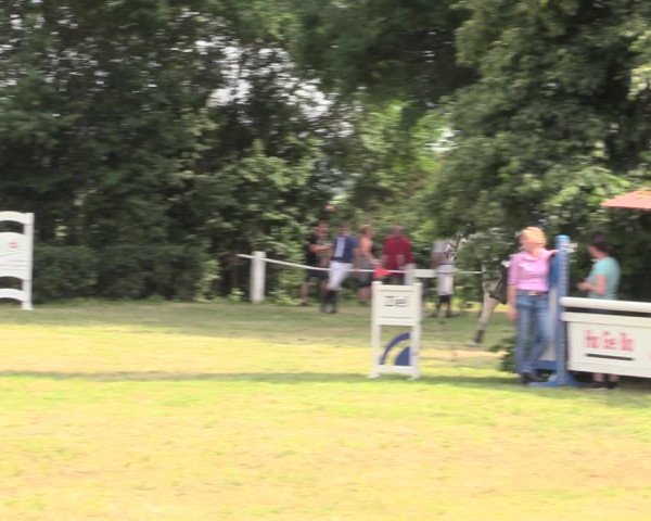 Reitturnier Wustrow 2019