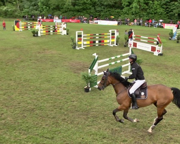 Reitturnier Jettingen 2019