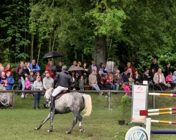 Reitturnier Jettingen 2019