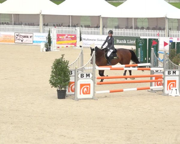 Reitturnier Galgenen 2019