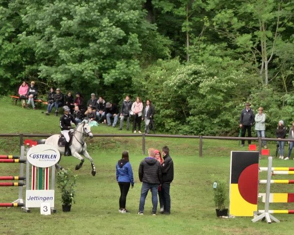 Reitturnier Jettingen 2019