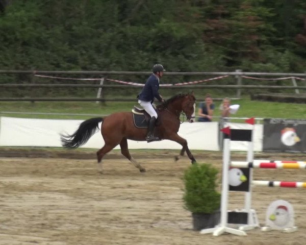 Reitturnier Frechen-Grefrath - Sonnenhof 2019