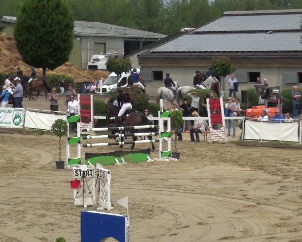 Reitturnier Frechen-Grefrath - Sonnenhof 2019