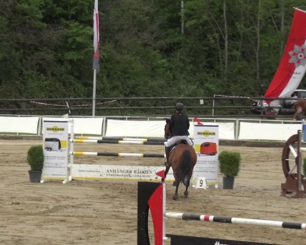 Reitturnier Frechen-Grefrath - Sonnenhof 2019