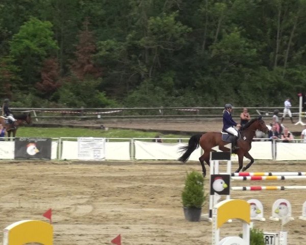 Reitturnier Frechen-Grefrath - Sonnenhof 2019