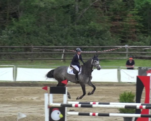 Reitturnier Frechen-Grefrath - Sonnenhof 2019