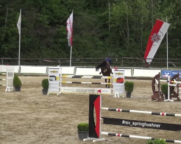 Reitturnier Frechen-Grefrath - Sonnenhof 2019