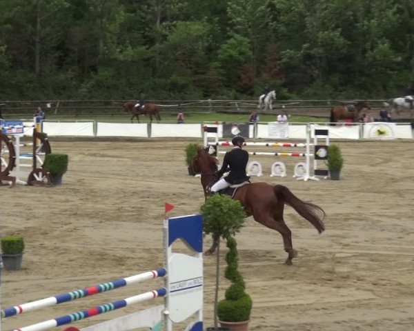 Reitturnier Frechen-Grefrath - Sonnenhof 2019