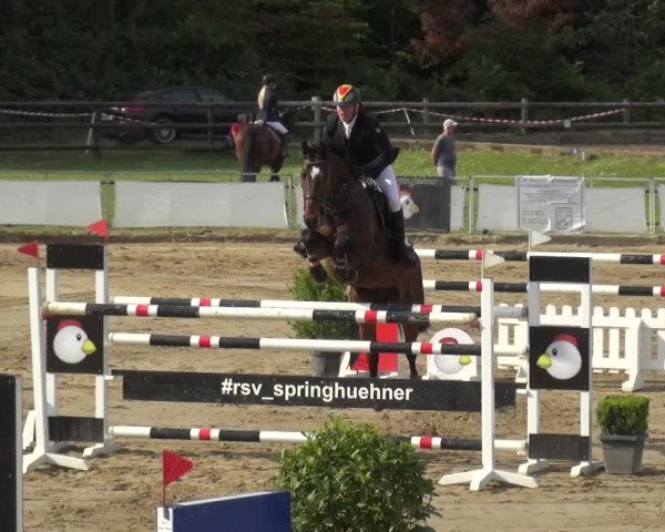 Reitturnier Frechen-Grefrath - Sonnenhof 2019