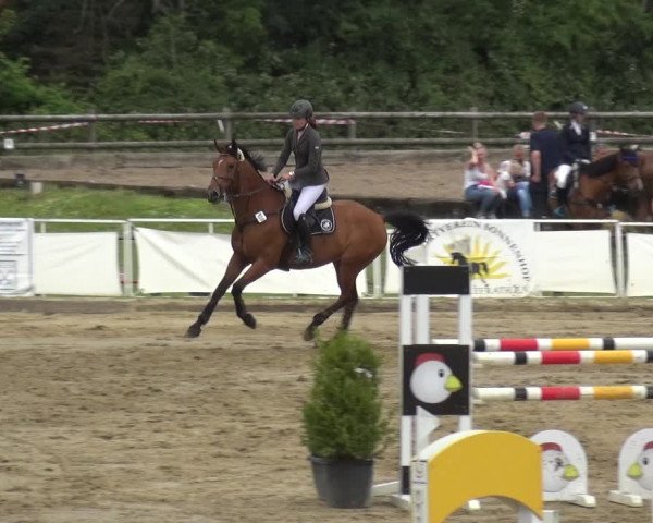 Reitturnier Frechen-Grefrath - Sonnenhof 2019