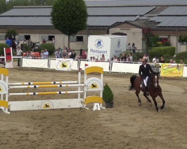Reitturnier Frechen-Grefrath - Sonnenhof 2019