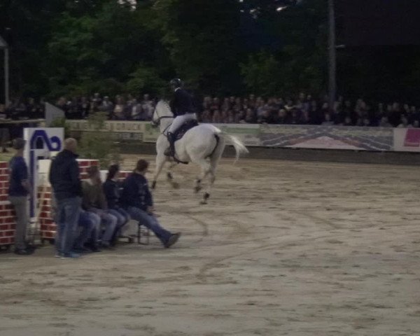Reitturnier Zeiskam 2019