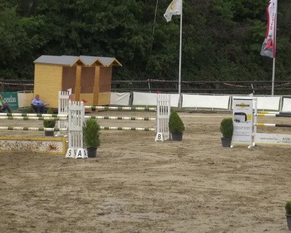Reitturnier Frechen-Grefrath - Sonnenhof 2019