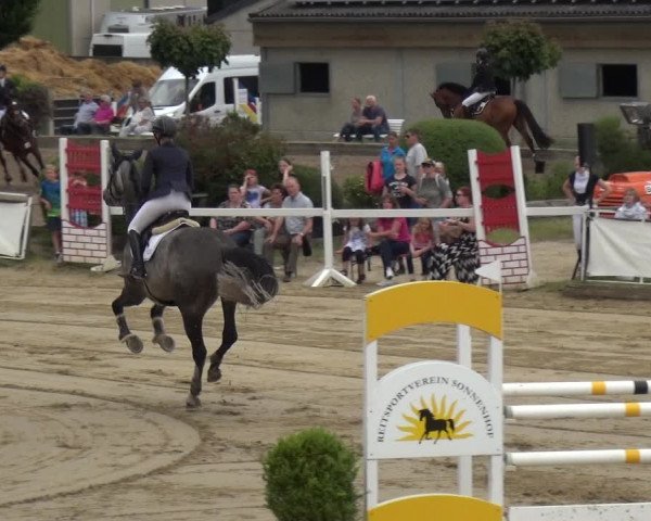 Reitturnier Frechen-Grefrath - Sonnenhof 2019