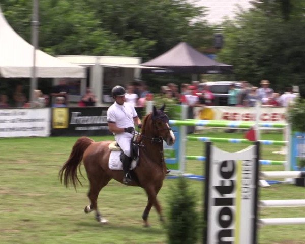 Reitturnier Borken 2019