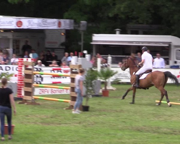 Reitturnier Borken 2019