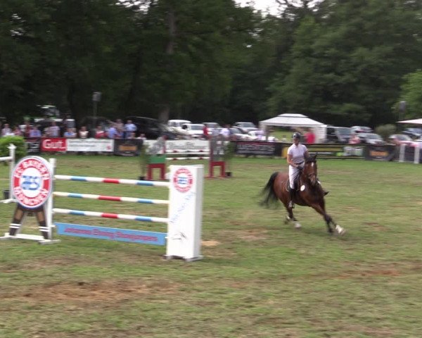 Reitturnier Borken 2019