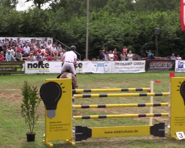 Reitturnier Borken 2019
