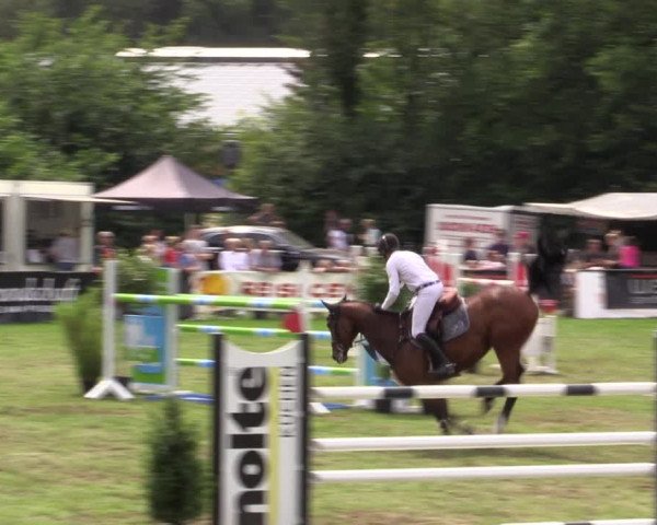 Reitturnier Borken 2019