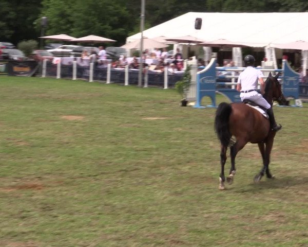Reitturnier Borken 2019