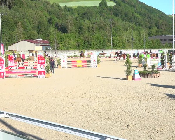 Reitturnier Münsingen 2019