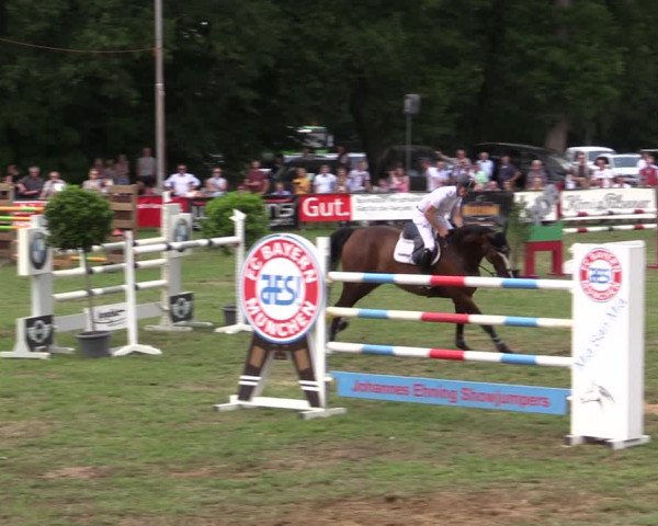 Reitturnier Borken 2019