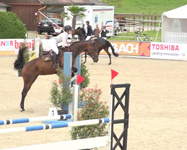 Reitturnier Galgenen 2019