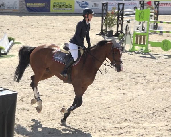 Reitturnier Galgenen 2019