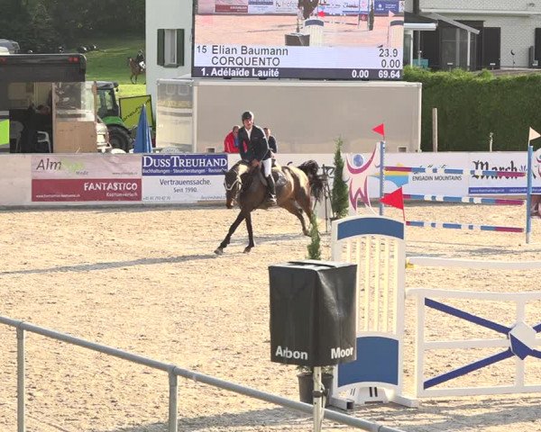 Reitturnier Galgenen 2019