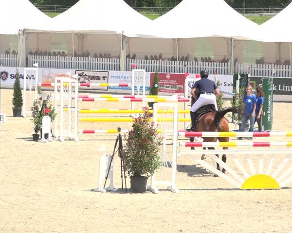 Reitturnier Galgenen 2019