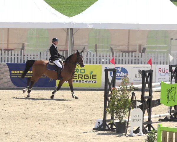 Reitturnier Galgenen 2019