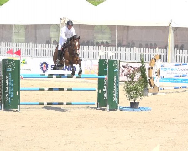 Reitturnier Galgenen 2019