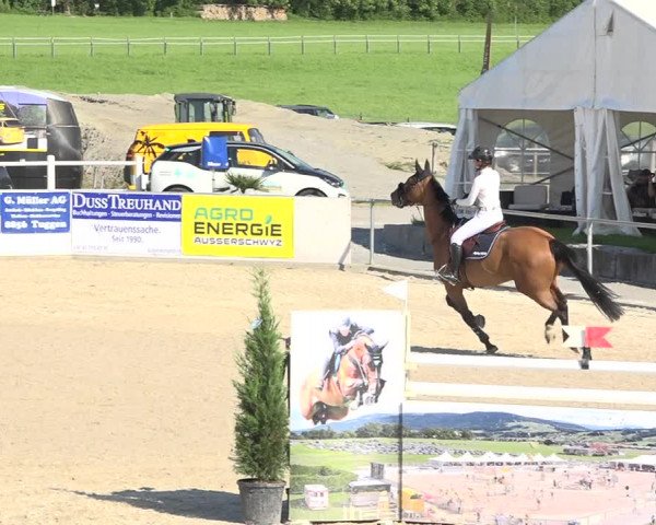 Reitturnier Galgenen 2019