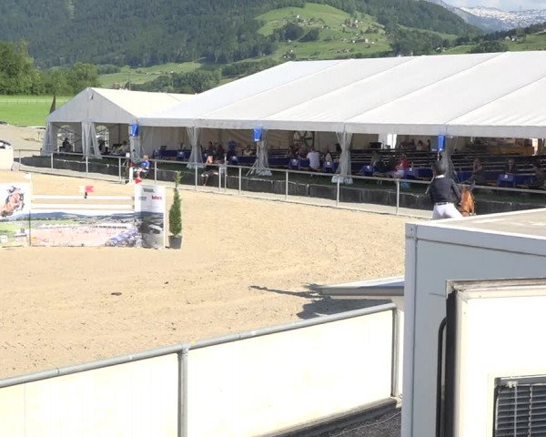 Reitturnier Galgenen 2019
