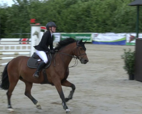 Reitturnier Fröndenberg 2019