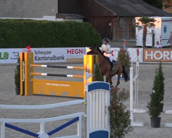 Reitturnier Galgenen 2019
