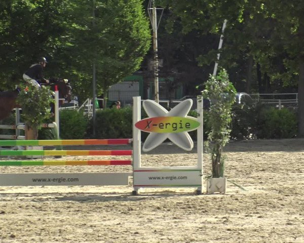 Reitturnier Bochum-Nord 2019