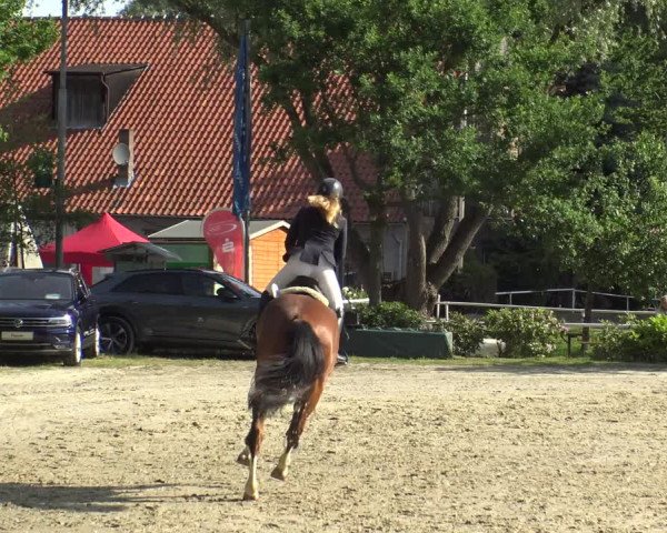 Reitturnier Bochum-Nord 2019