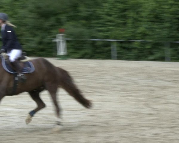Reitturnier Fröndenberg 2019